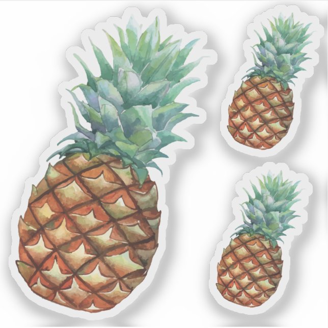 Pineapple Tropical fruits & leaf watercolor paint Sticker (Front)