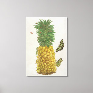Pineapple with caterpillar and butterflies (hand-c canvas print