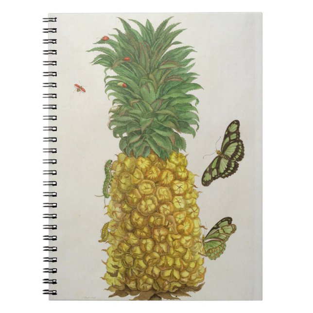 Pineapple with caterpillar and butterflies (hand-c notebook (Front)