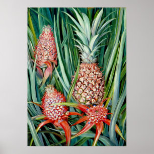 Pineapples by Marianne North - Exotic Landscape Poster