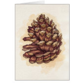 Pinecone (Front)