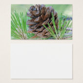 Pinecone (Front & Back)