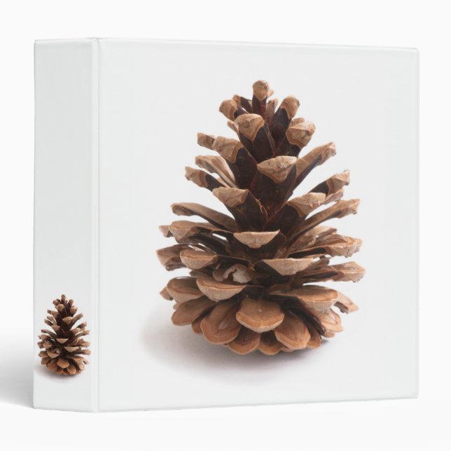 Pinecone Binder (Front/Spine)