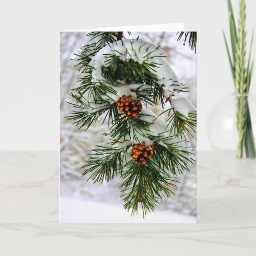 PineCone BranchHD Holiday Card