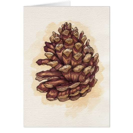 Pinecone Cards (Front)