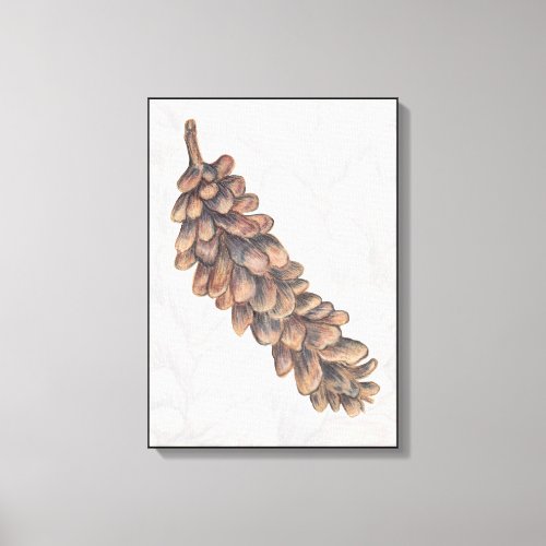 Pinecone Drawing Canvas Print