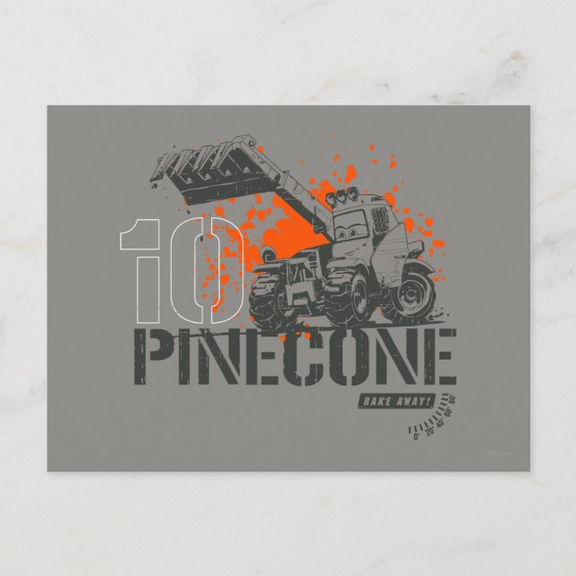 Pinecone Graphic Postcard (Front)