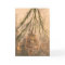 Pinecone Holiday Card