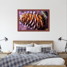 Pinecone in Rich Colors