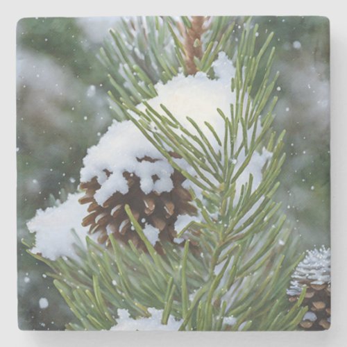 Pinecone in Snow on Pine Tree Christmas Holiday Stone Coaster