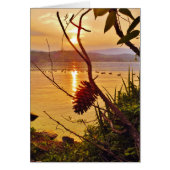 Pinecone Lake sunset (Front)