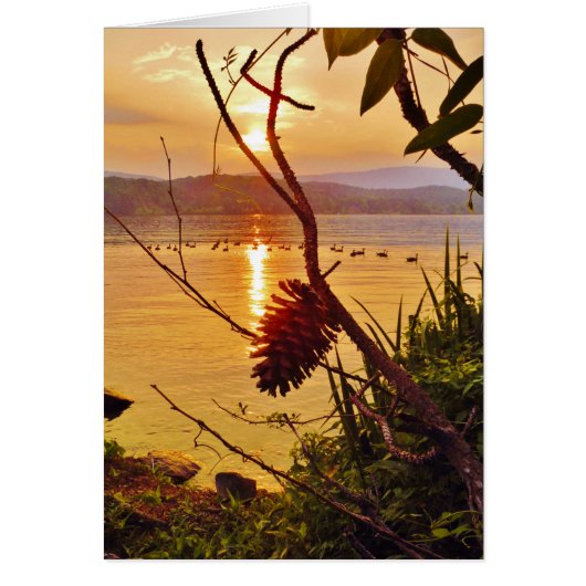 Pinecone Lake sunset Cards (Front)