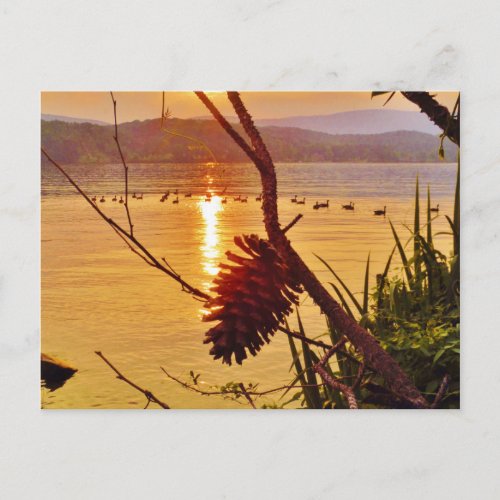 Pinecone Lake sunset Postcard