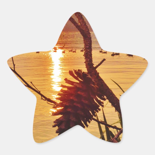 Pinecone Lake sunset Star Sticker (Front)