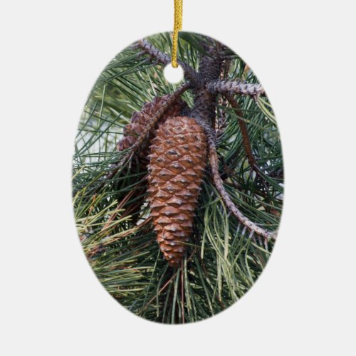 Pinecone on the pine tree ceramic ornament