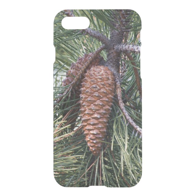 Pinecone on the pine tree uncommon iPhone case (Back)