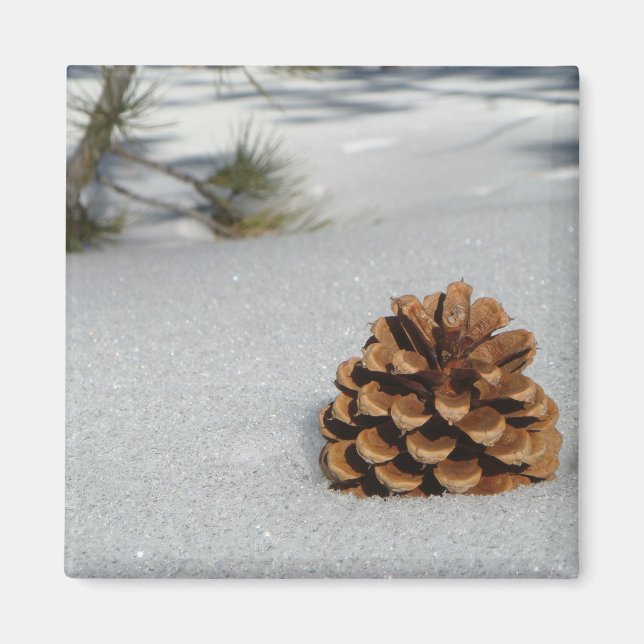 Pinecone on the Snow Magnet (Front)
