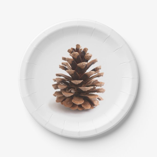 Pinecone Paper Plates (Front)