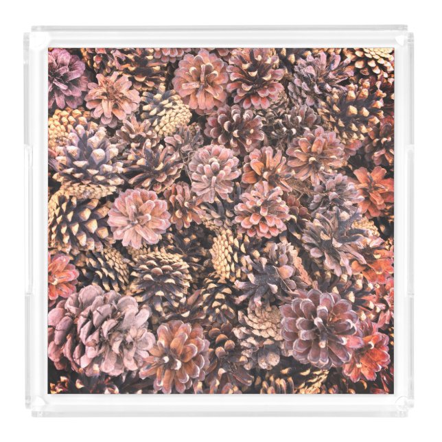 Pinecone rustic fall colorful natural winter brown acrylic tray (Front)