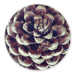 Pinecone rustic nature fall winter  ceramic knob