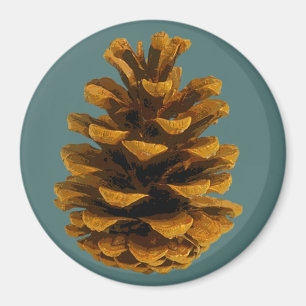 Pinecone rustic nature magnet