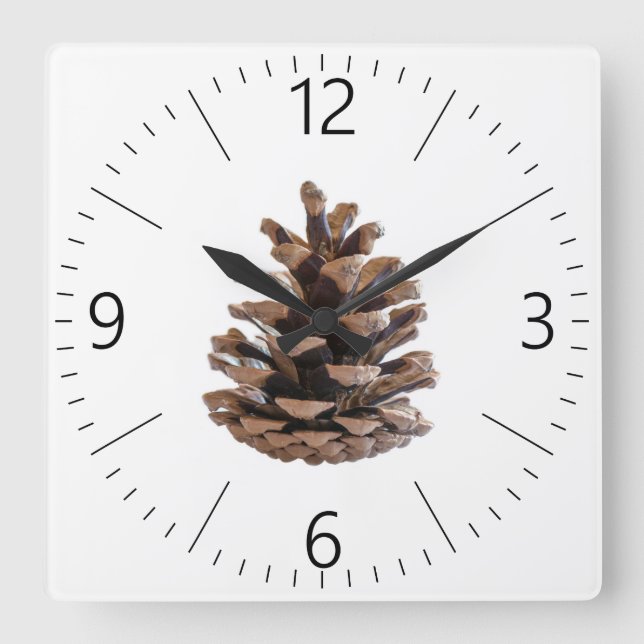 Pinecone Square Wall Clock (Front)
