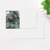 Pinecones (Desk)