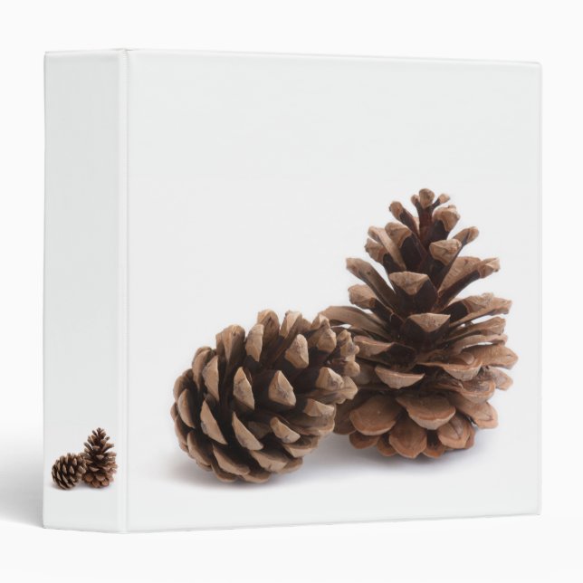 Pinecones 3 Ring Binder (Front/Spine)