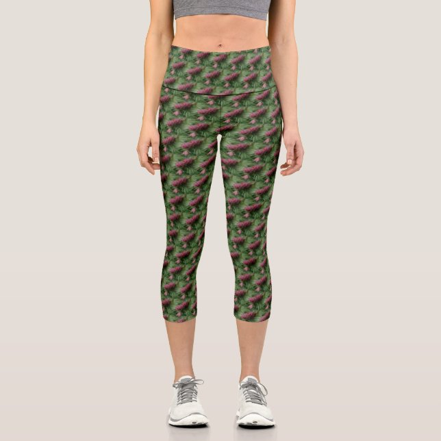 Pinecones And Pine Needles Nature Pattern  Capri Leggings (Front)