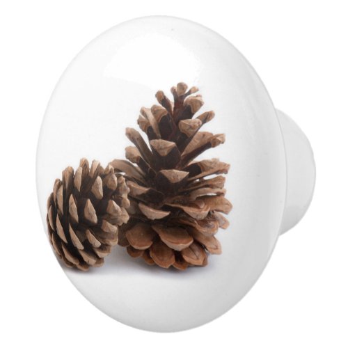 Pinecones Ceramic Knob