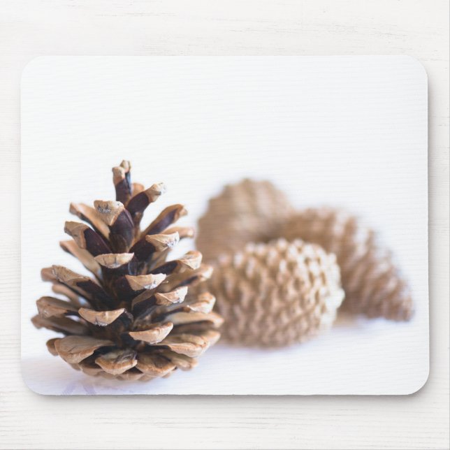 Pinecones Mouse Pad (Front)