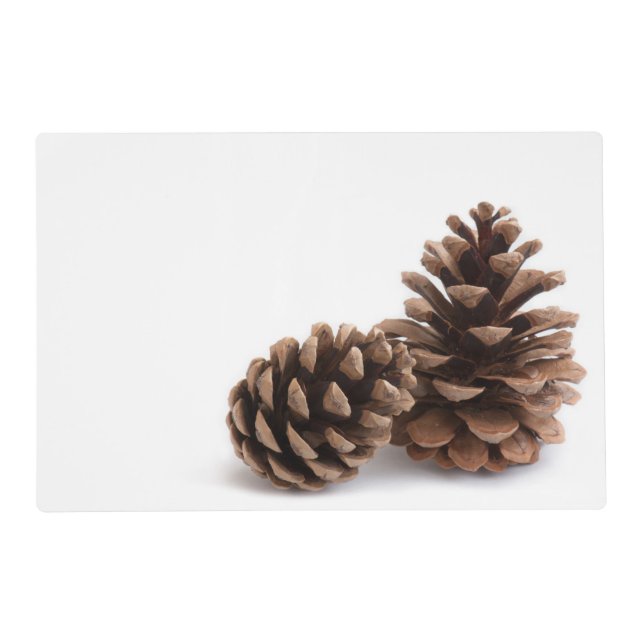 Pinecones Placemat (Back)