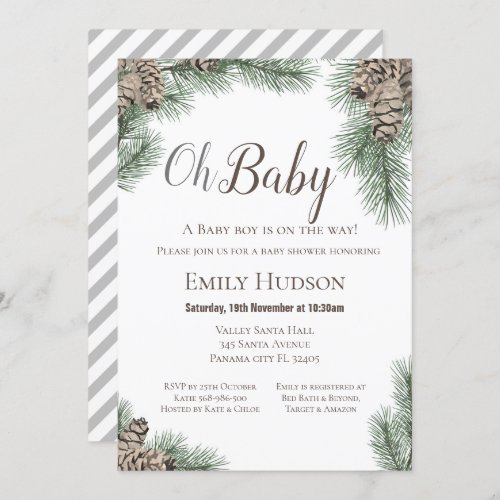 Pinecones Winter Invitation _ Baby Shower