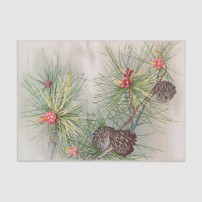 Pines and Flower Christmas Decoupage Tissue Paper (Front)