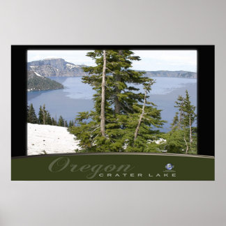 PINES AT CRATER LAKE POSTER