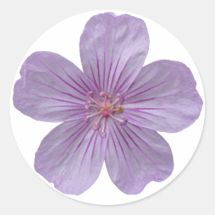 Pineywoods Geranium #1 Classic Round Sticker