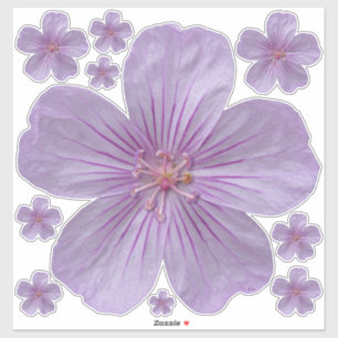 Pineywoods Geranium #1 Sticker