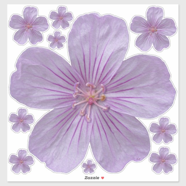 Pineywoods Geranium #1 Sticker (Sheet)