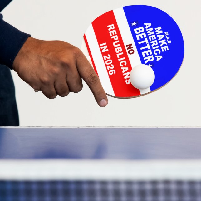 Ping Pong Paddle (Insitu)