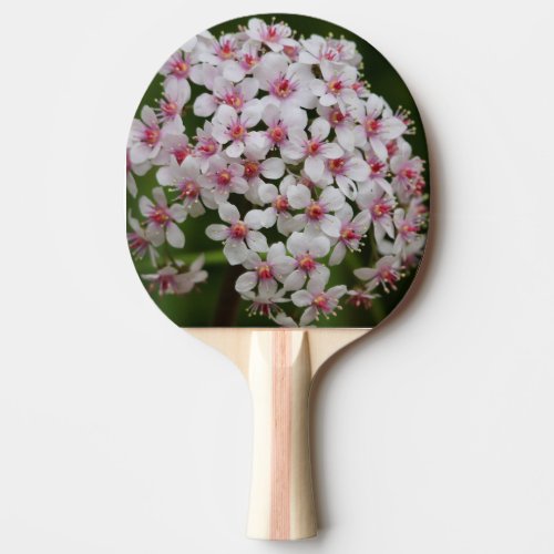 Ping Pong Paddle