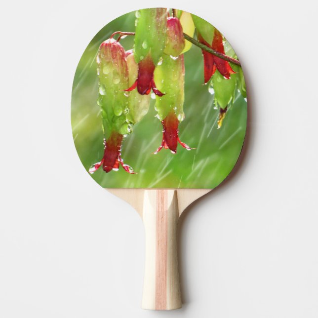 Ping Pong Paddle swing with fashionable paddle (Front)