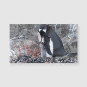 Pinguin with a chick (Front)