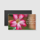 Pink Adenium Obesum flower a.k.a. Desert Rose (Front/Back)