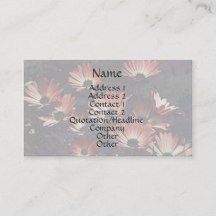Pink African Daisies Floral Business Card
