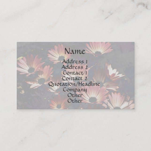 Pink African Daisies Floral Business Card (Front)