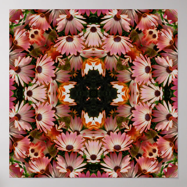 Pink African Daisy Flowers Abstract Poster | Zazzle