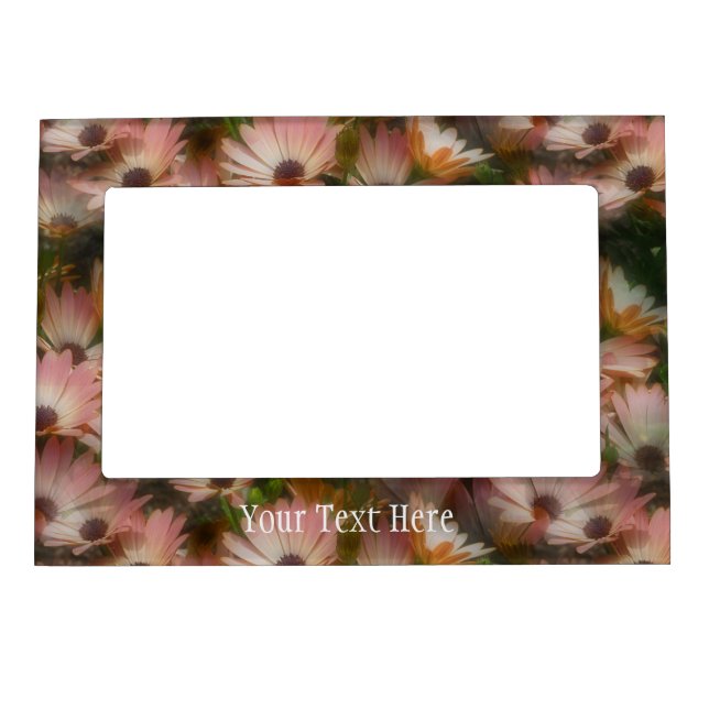 Pink African Daisy Flowers Magnetic Frame (Front)