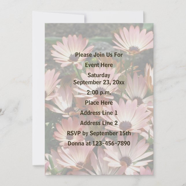 Pink African Daisy Flowers Party Invitation (Front)