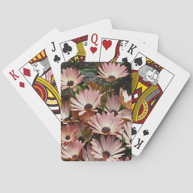 Pink African Daisy Flowers  Poker Cards (Back)