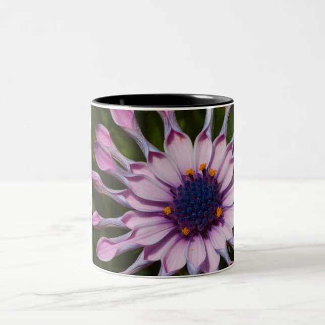 Pink African Daisy Two-Tone Coffee Mug (Center)
